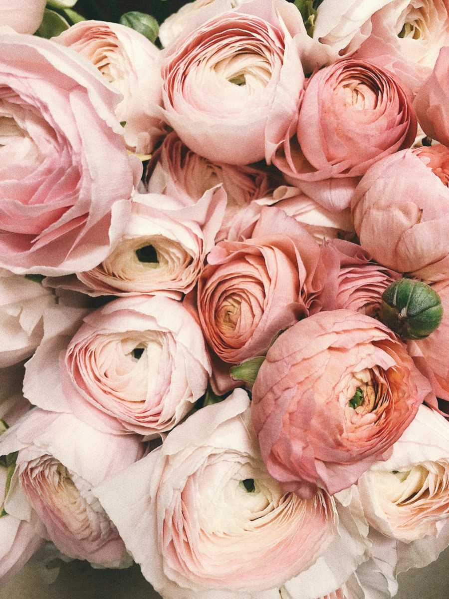Beautiful flowers in Venezuela